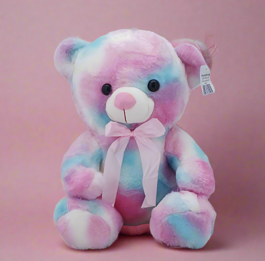 Colourful teddy